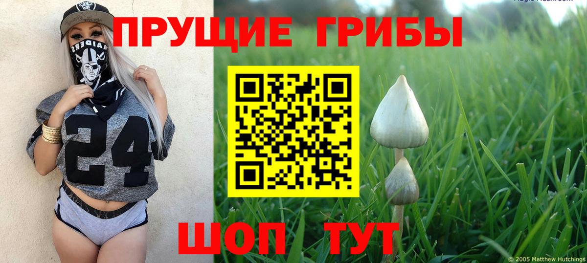 Псилоцибиновые грибы ЛСД  Псилоцибиновые грибы ЛСД  Екатеринбург  Вход с VPN 